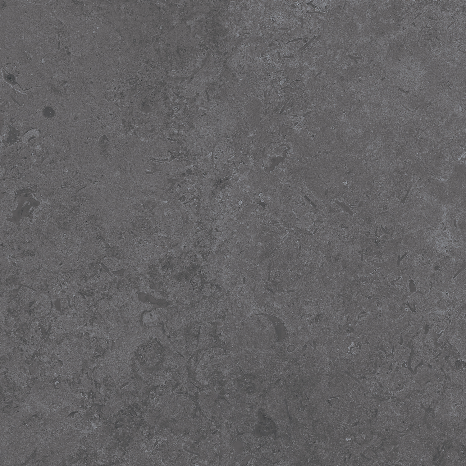 DD640800R Про Лаймстоун серый темный натуральный обрезной R10 60х60 Kerama Marazzi