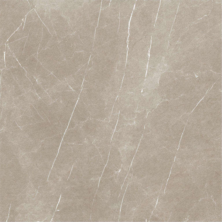 Eternal Taupe Natural 120x120 Baldocer