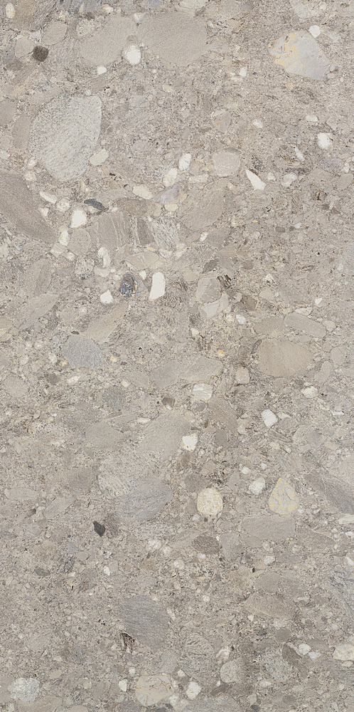 Ceppo Grigio Rett 60х120 Cercom фото 4