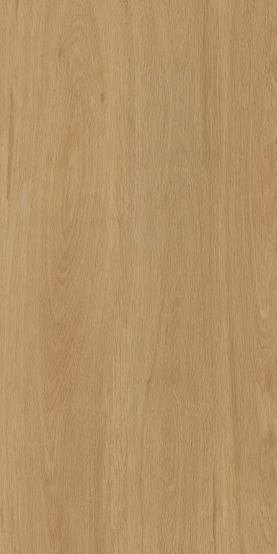 PT12F7041 Albero Beige Matt 1200х600х9 Protiles