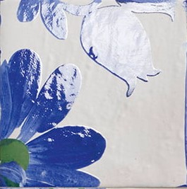 Portobello 20x20 Mainzu