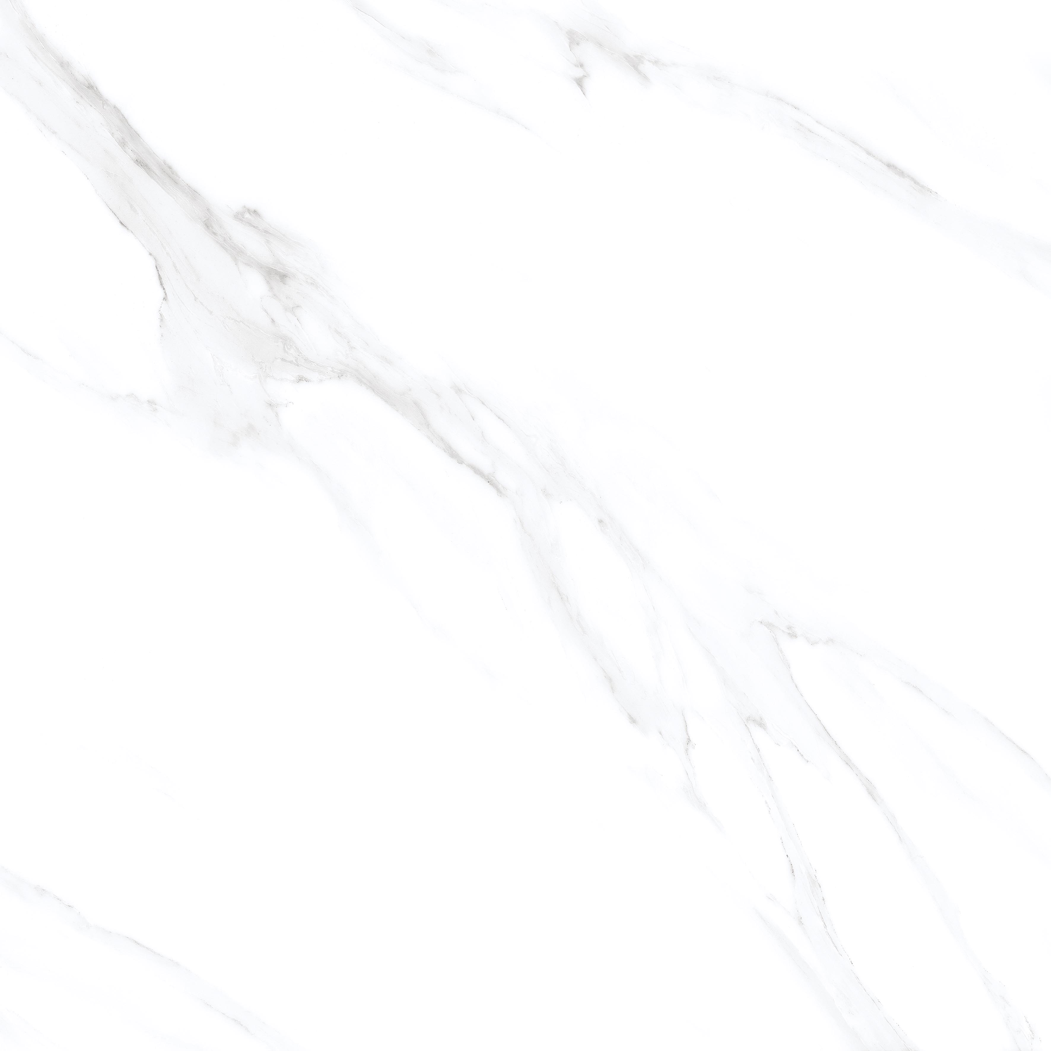 Statuario Venezia Glossy 60x60 Modern Tile