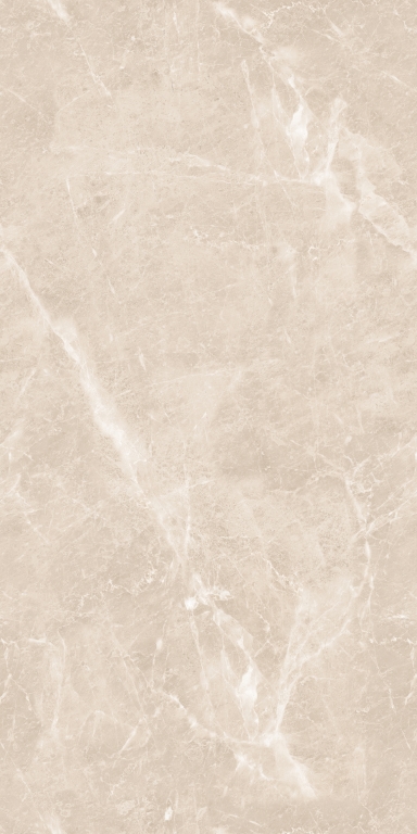 894 Gem Grey 120x60 Artcer