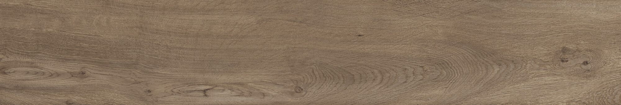 41729 Bloom Cognac SP/24x151x0,9/R 24x151 Peronda