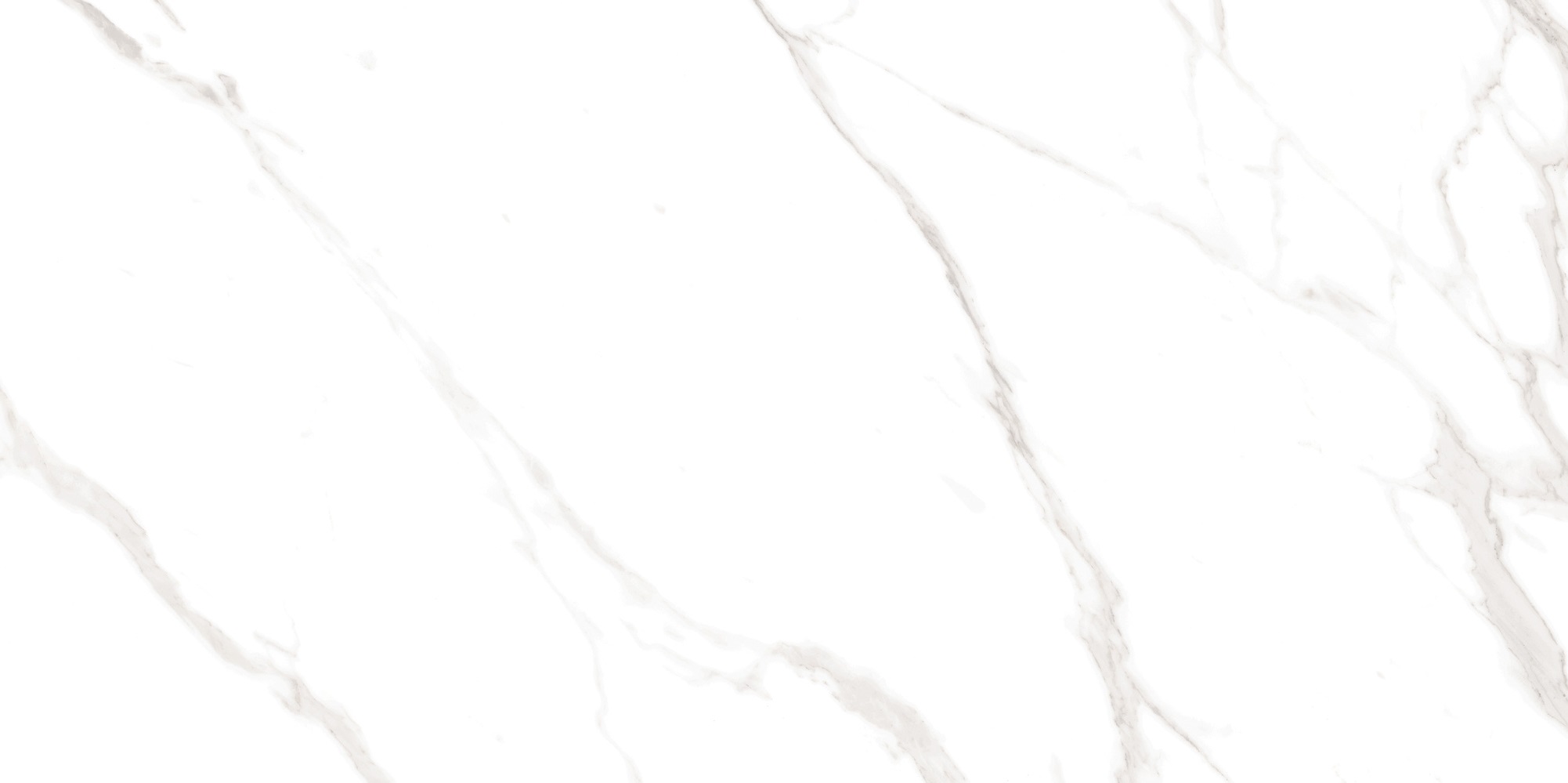 M4401P Carrara Livia Glossy 60x120 Buono Ceramica
