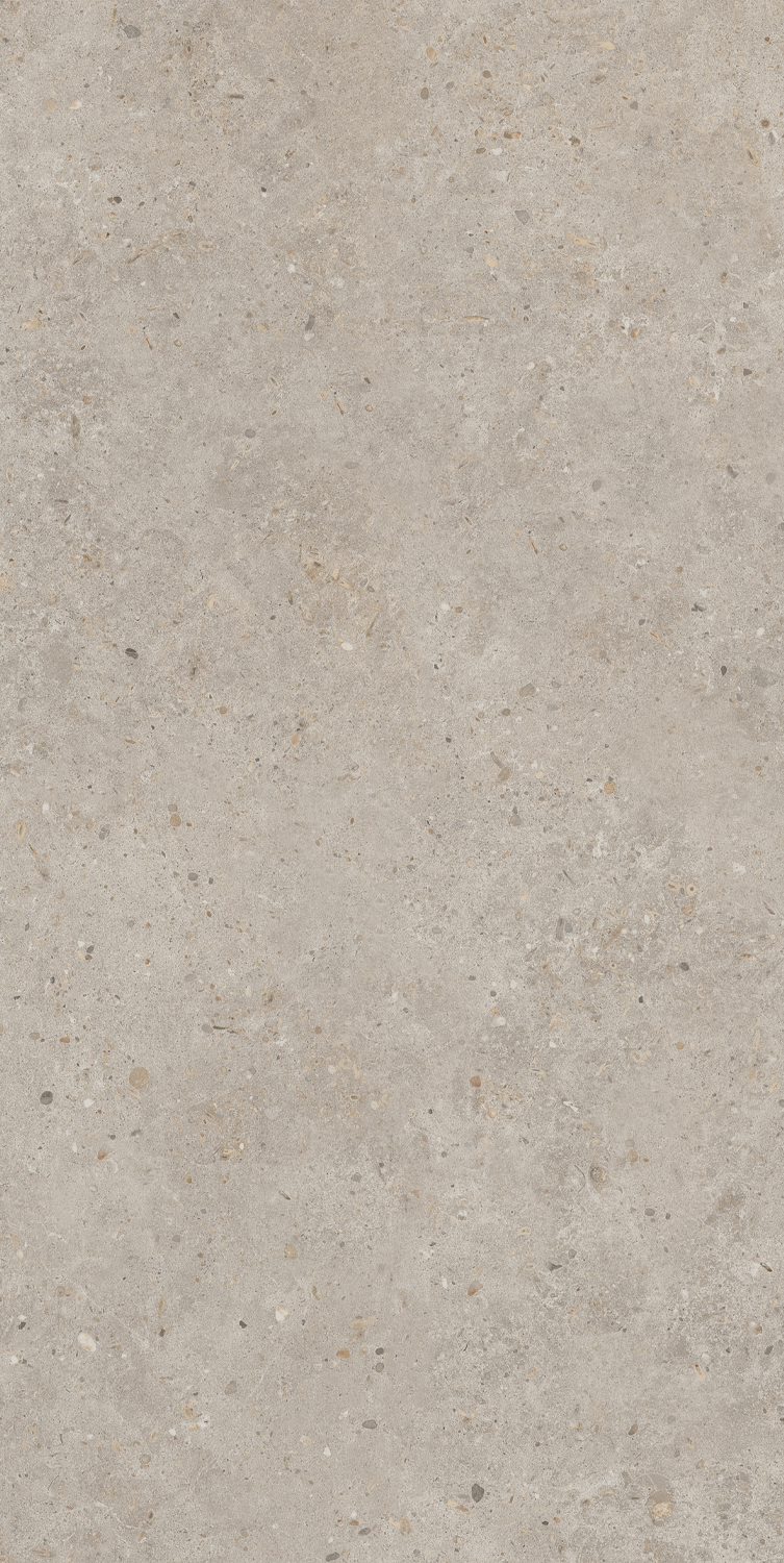 SG540620R Риккарди бежевый матовый обрезной 60х119,5 Kerama Marazzi фото 4