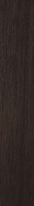 Metalwood Bronzo Naturale 10x60 Casalgrande Padana