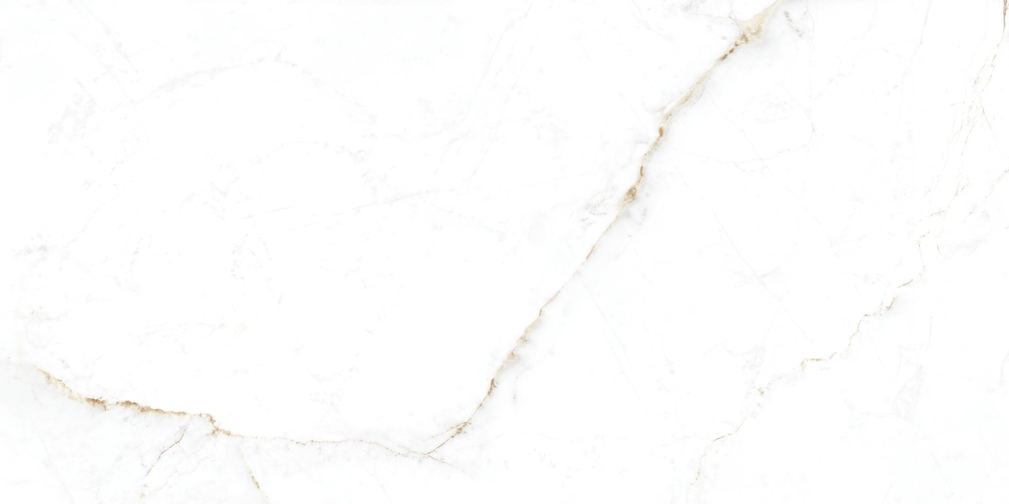 31741 Dual White EP 60x120 Peronda фото 9