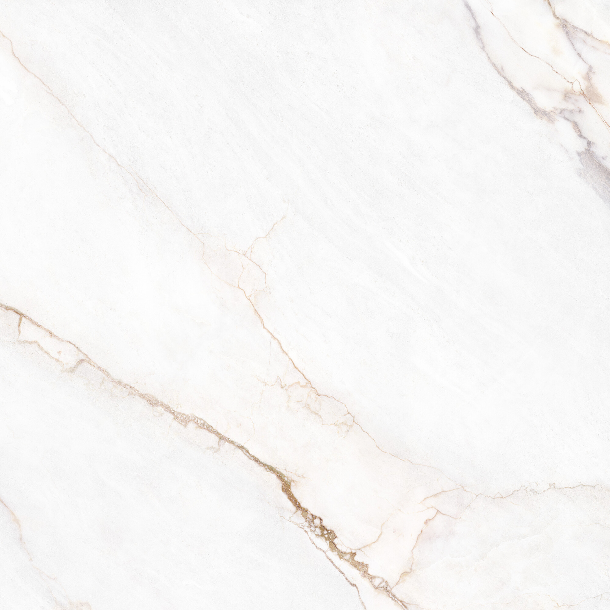 41431 Dahlia White SP/100X100X0,8/R 100x100 Peronda фото 13