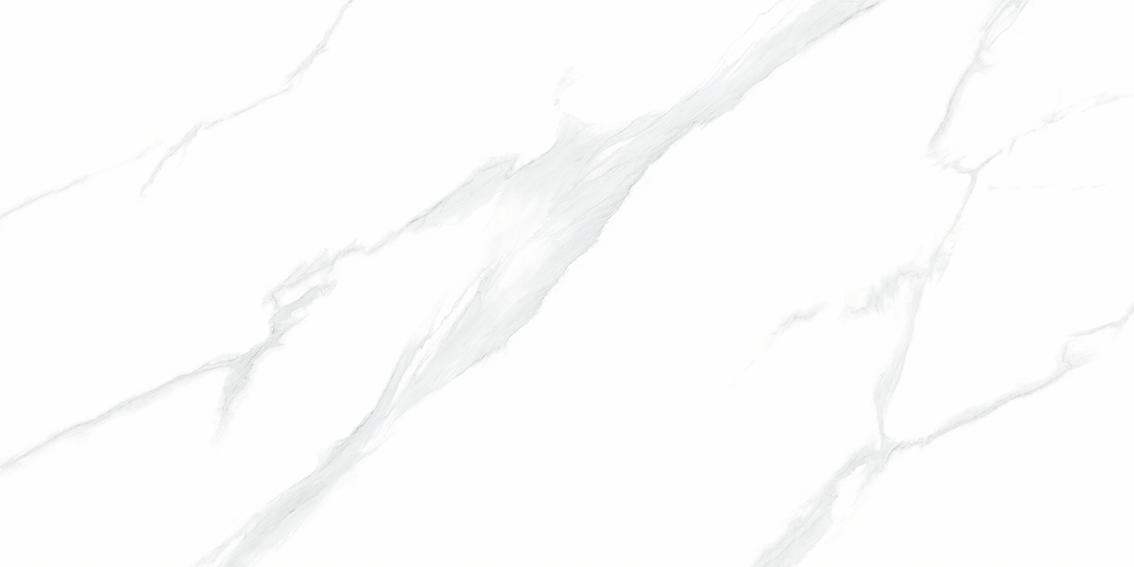 NTT9106P Statuario 60x120 NT Ceramic