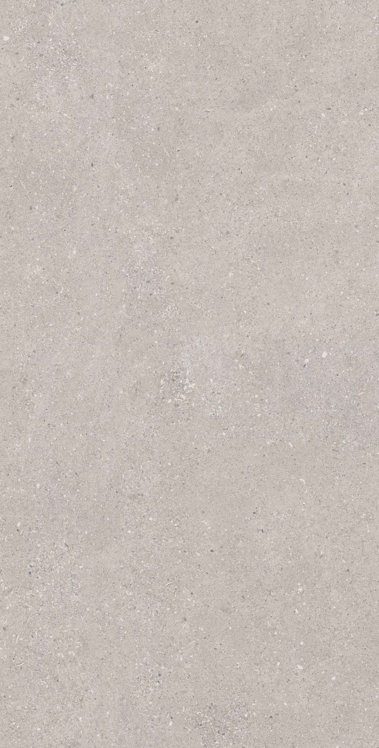 CE02 Спенс Светло-серый Структурированный Рект 60x120x9 Estima фото 2