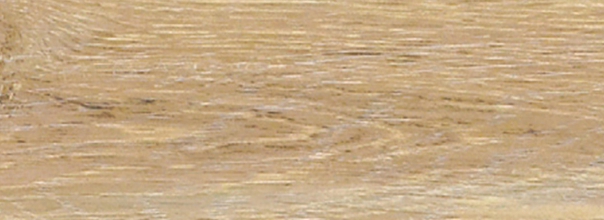 FOREST ROVERE 300x100 Kerlite