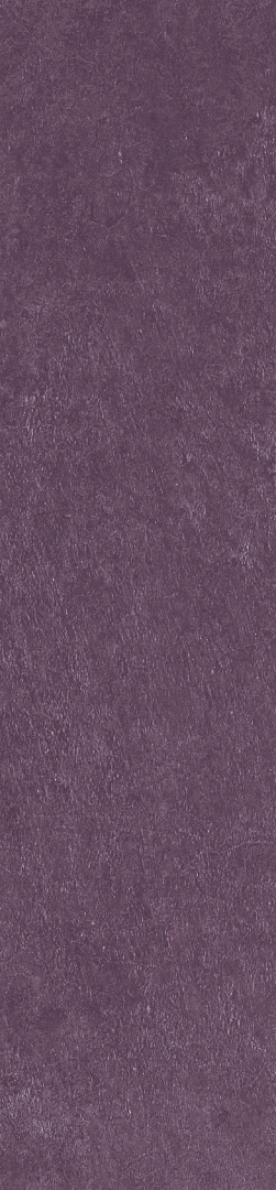 Scs Spectra Wine 5,8х25 Simpolo Ceramics