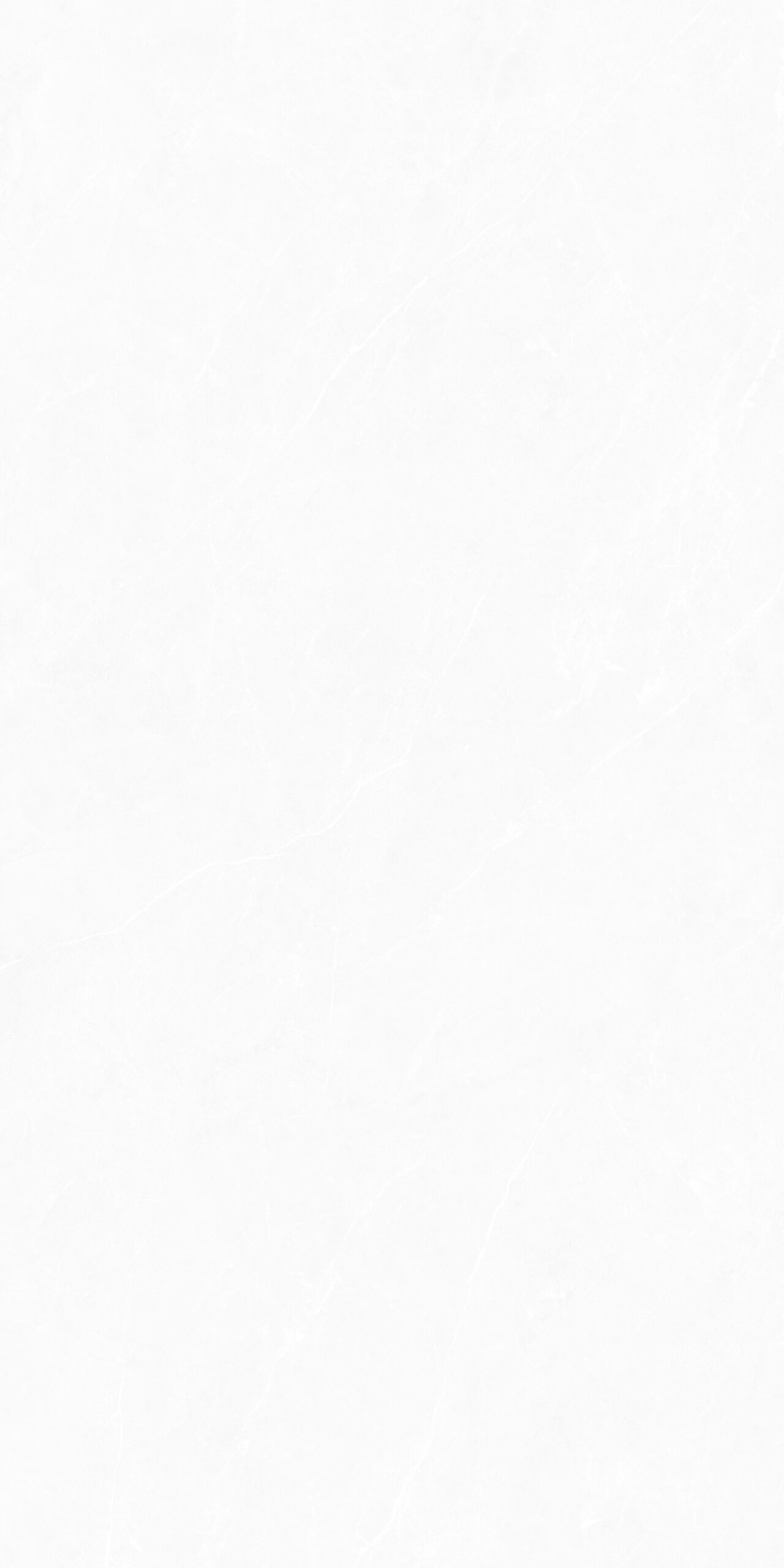 Prelino White Matt Punch 60x120 Maimoon Ceramica