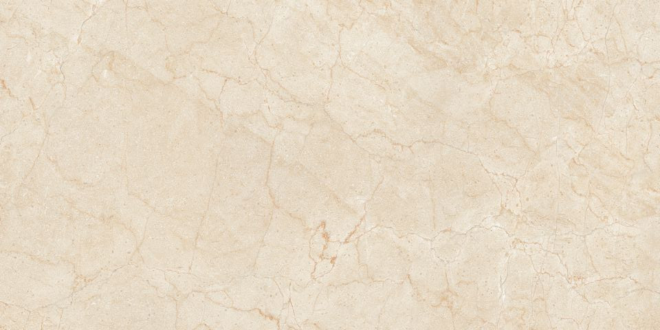 Bottichino Polished 60x120 Royal Tile