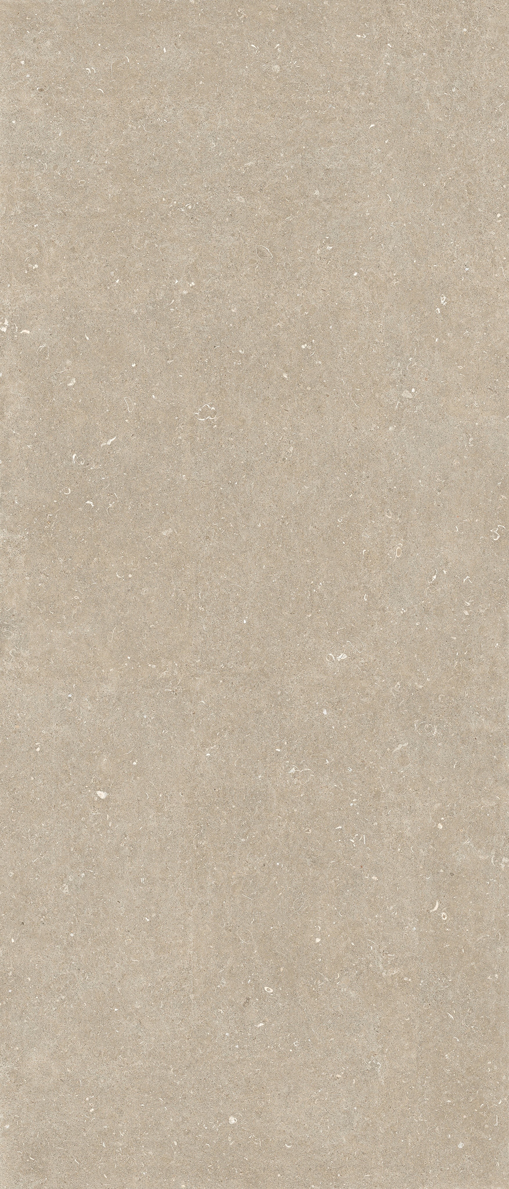 785571 Rinascenza Arena Conchiglia Matte 6mm 120x280 Casa Dolce Casa