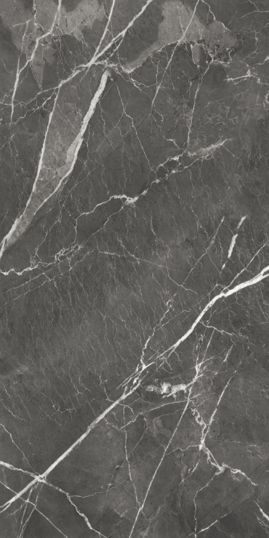 GT1206019809MHRR Oscar Темно-серый матовый 60x120 Global Tile
