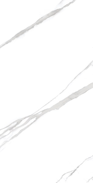 REGAL STATUARIO Glossy 60x120 One Touch