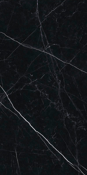 PK612547 Nero Marquine Lev Silk 120x60 Ariostea