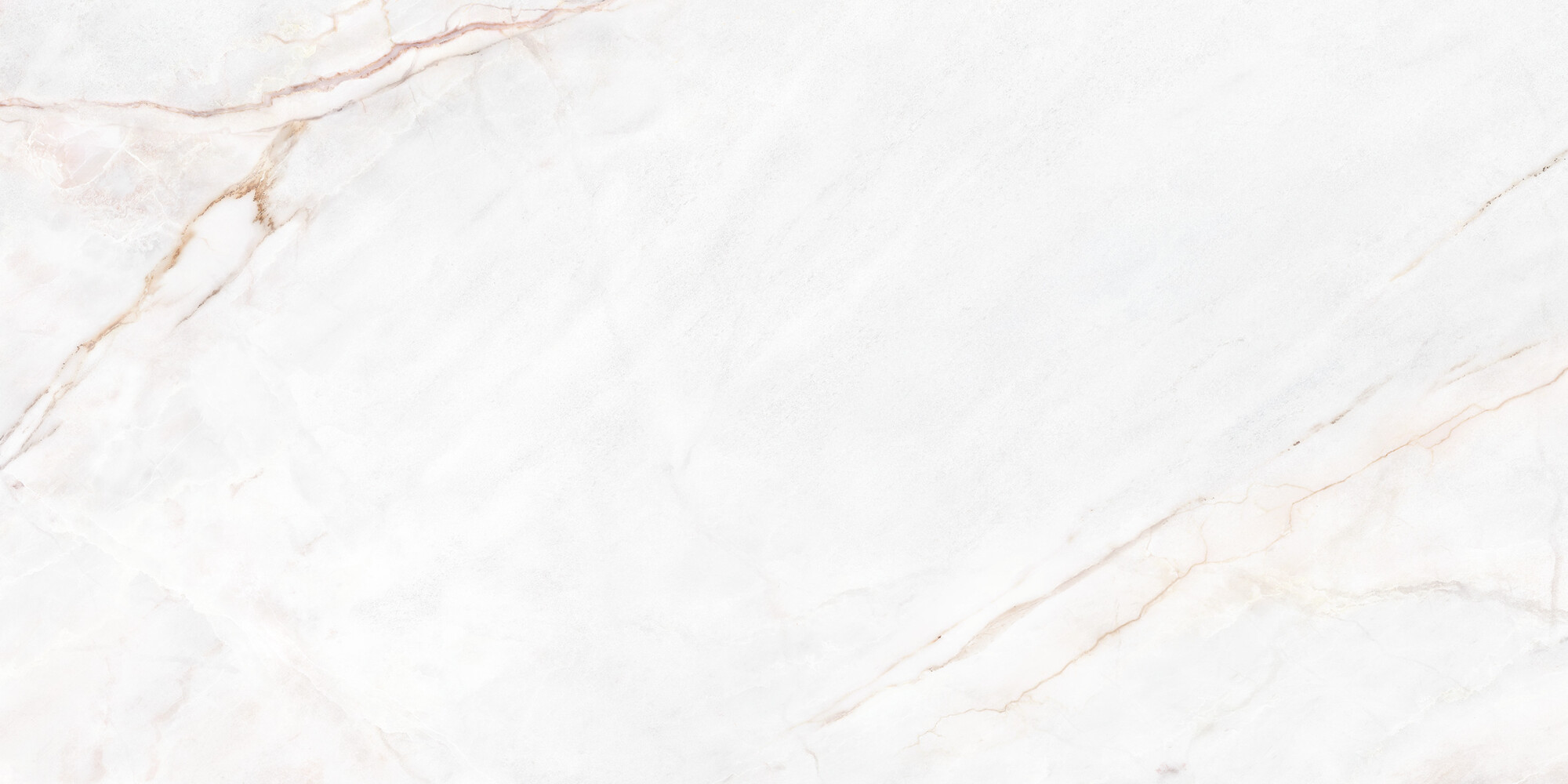 39492 Dahlia White NT/60X120X0,9/C/R 60х120 Peronda фото 20