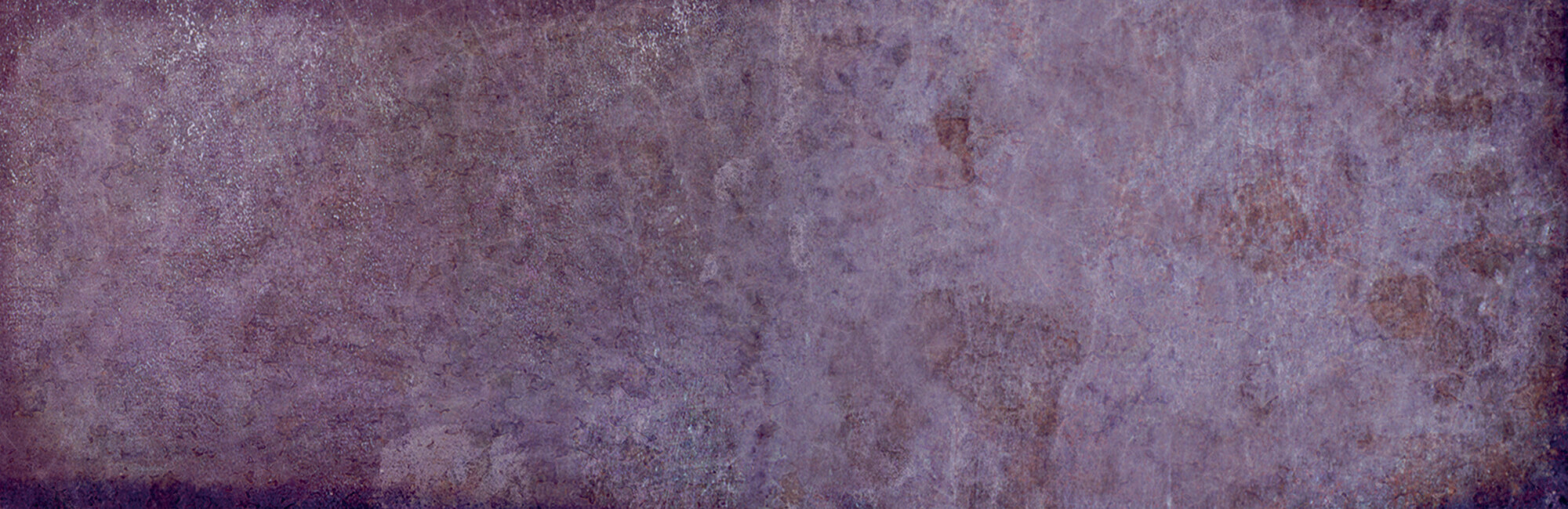 29015 Dyroy Aubergine 6.5x20 Peronda фото 20