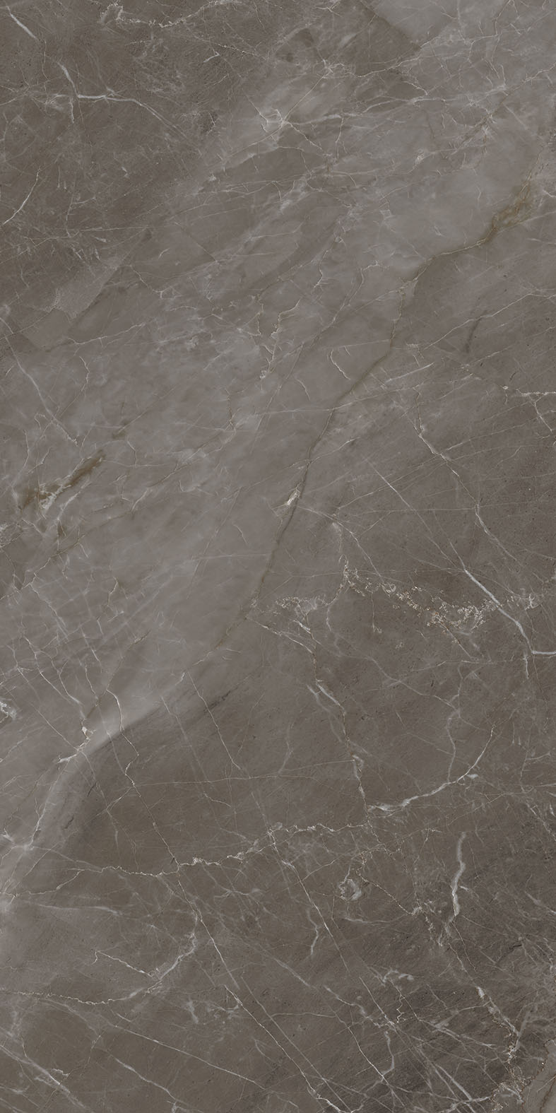 Craft French Grey Carving 60x120 BELLEZA фото 4