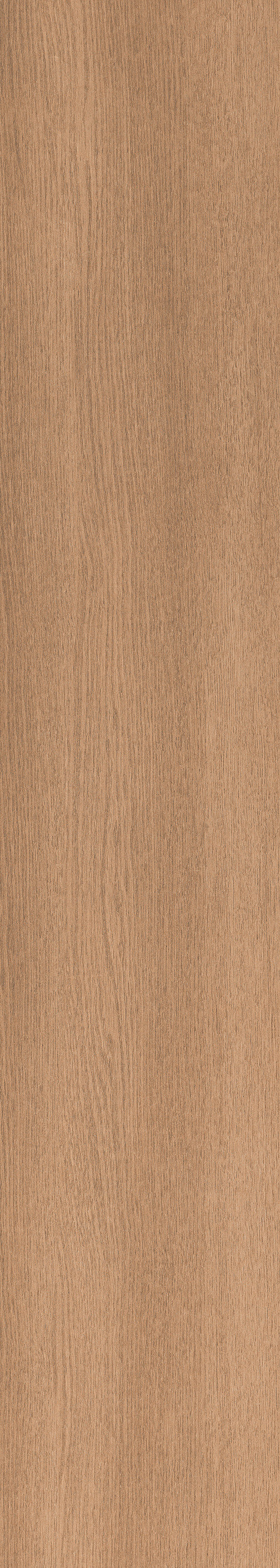 1057 Torino Brown Mate 120x20 Artcer