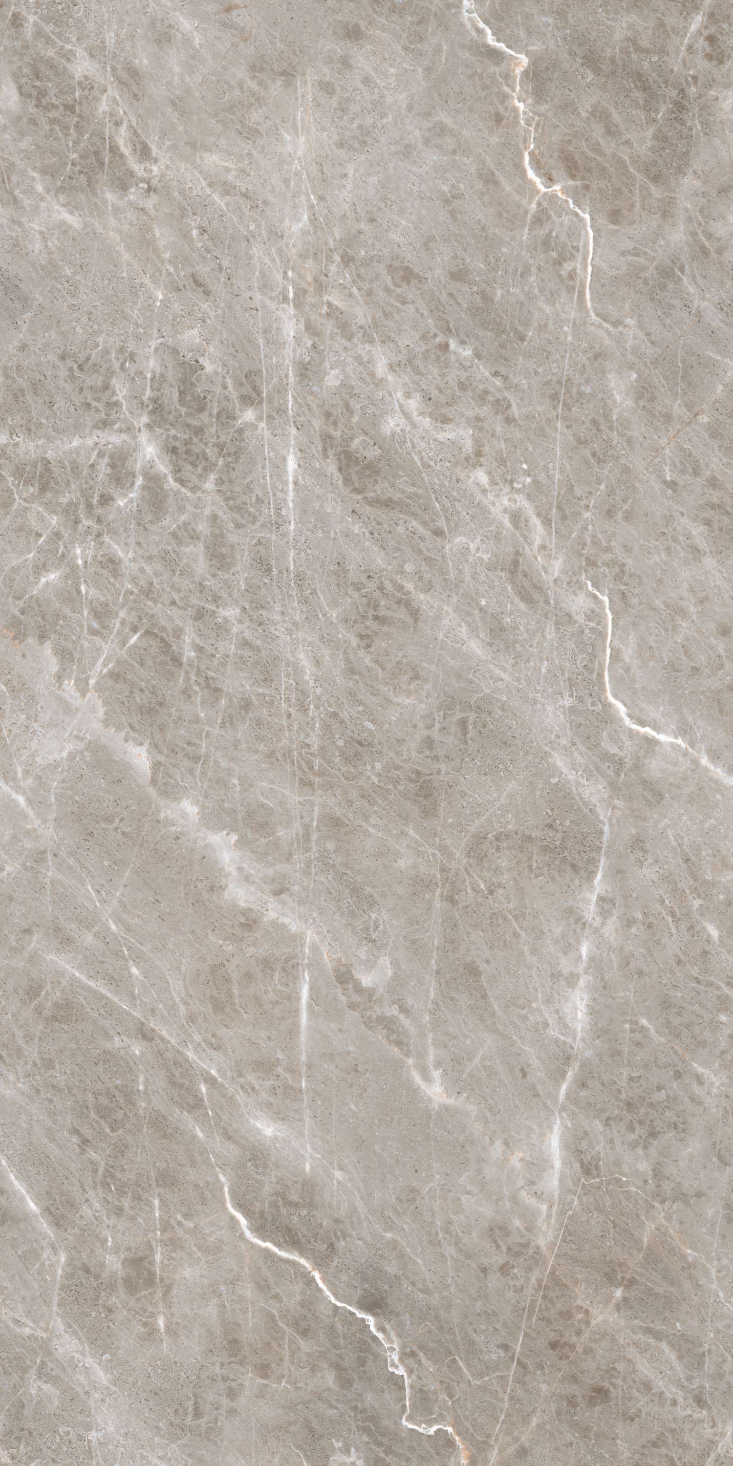 Burgass Brown Carving 60х120 Embito Granito