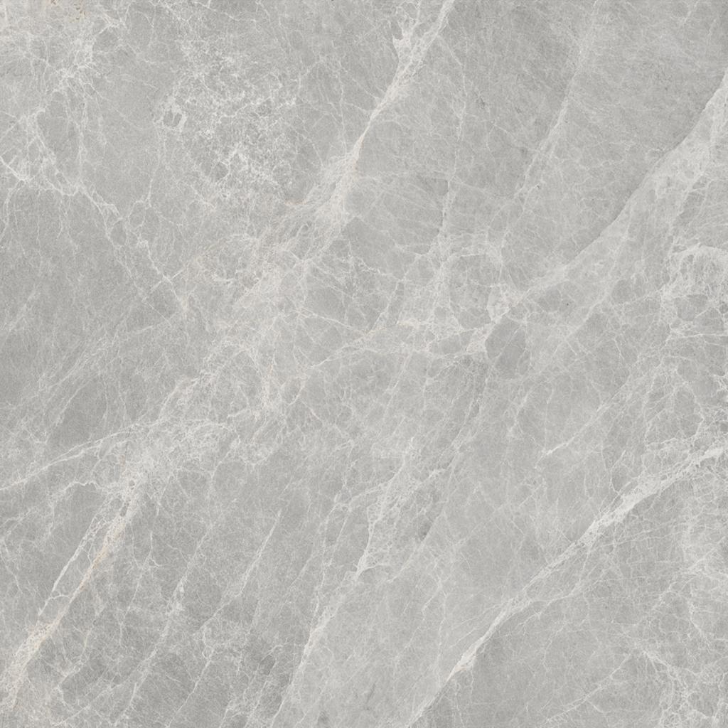 Worner GREY 60x60 Bluezone