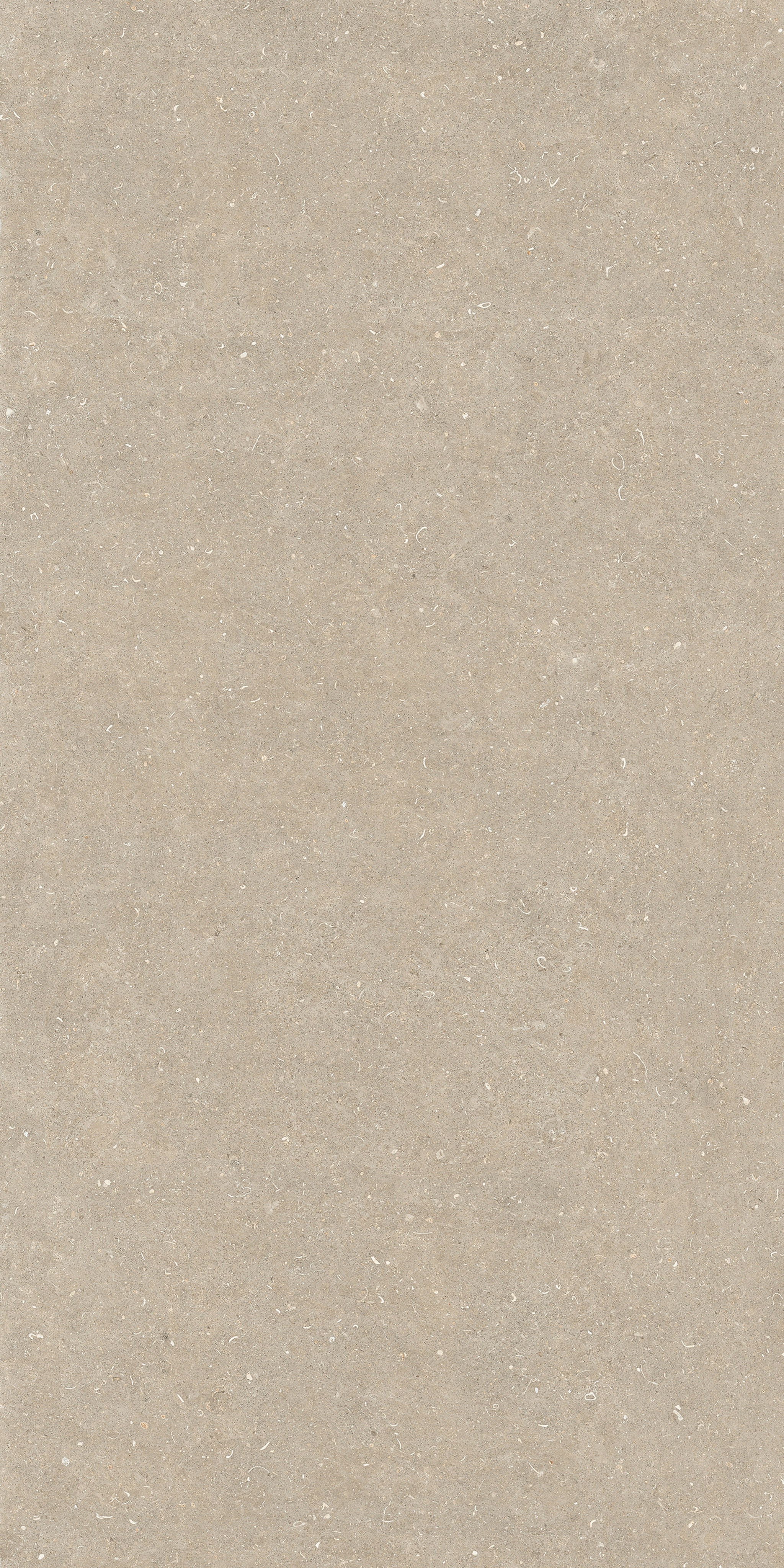 785583 Rinascenza Arena Conchiglia Matte 6mm 120x240 Casa Dolce Casa фото 2