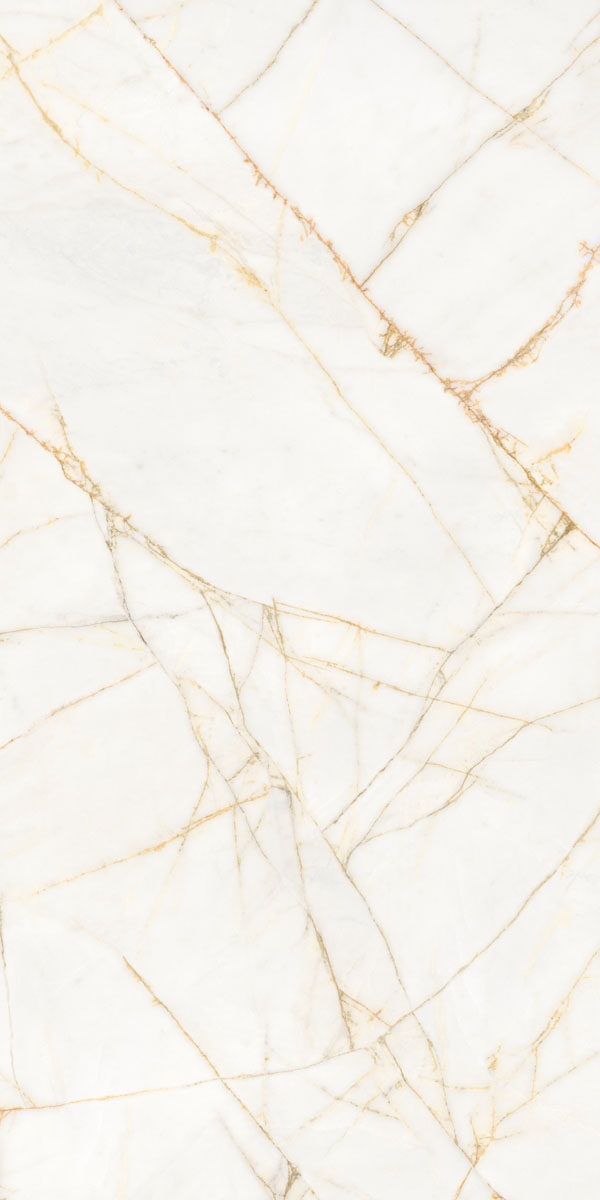 PF60017518 Supreme Hedonism Golden Spider Nat R 60x120 Flaviker
