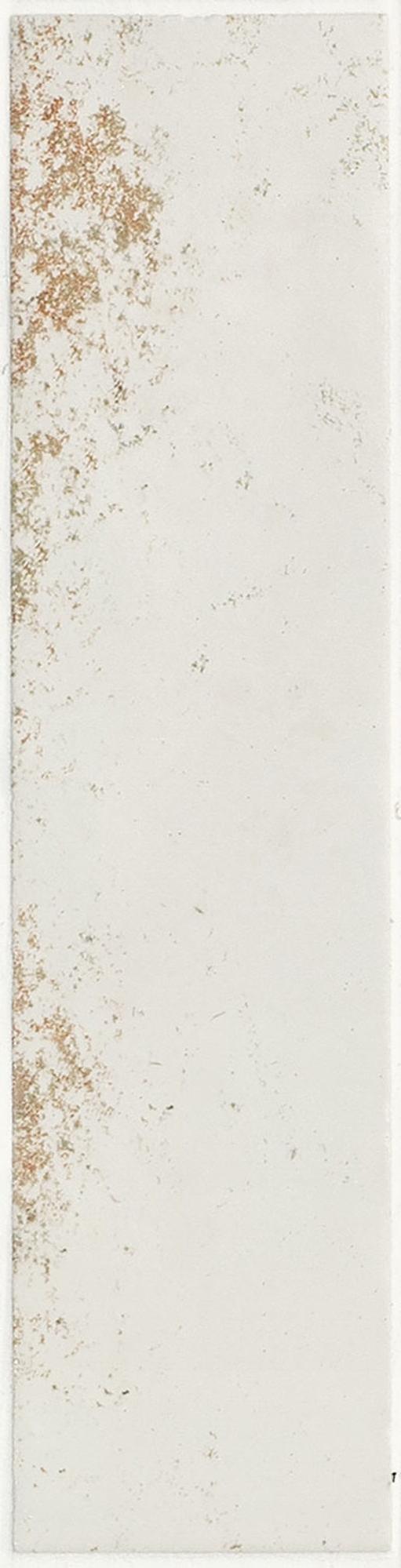 A040624 Magnetism White 6,3x25 CARMEN