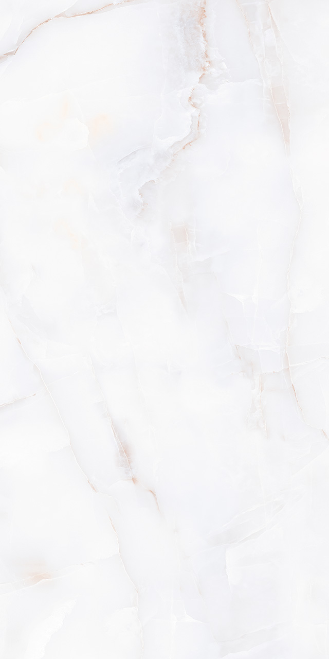 ZA-D12607 Glazed PR 1200x600x9 Vizavi фото 4