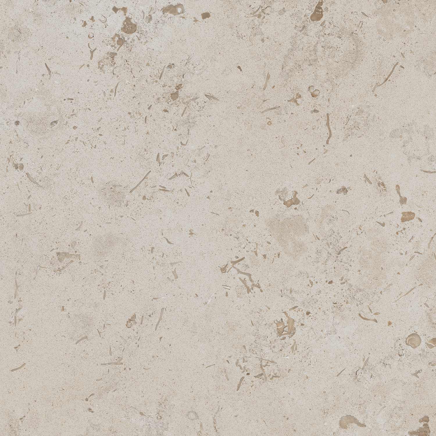 DD641220R Про Лаймстоун бежевый натуральный обрезной 60х60 Kerama Marazzi