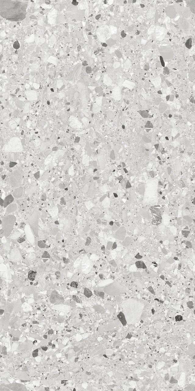 RS 1029 Grey Carving 60x120 BELLEZA фото 7