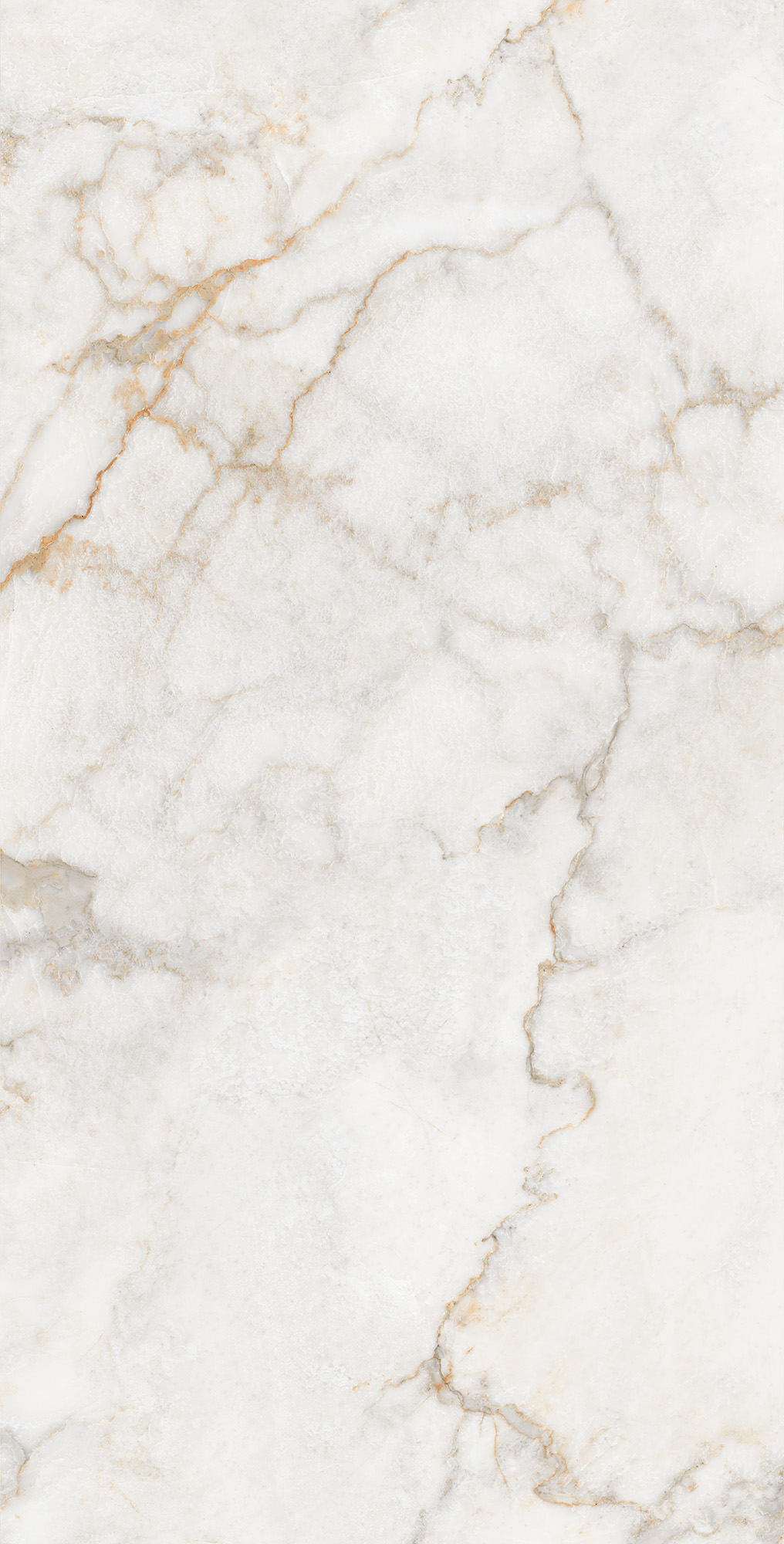 CP4002-A Pratonix Beige Carving Pro 60x120 Arcadia Ceramica