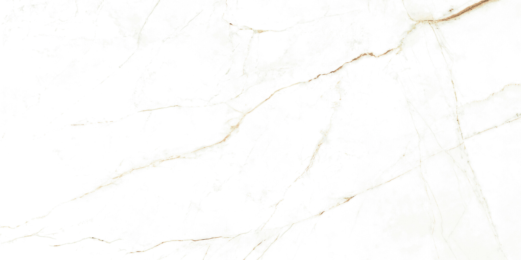 38712 Dual White NT/60X120X0,9/C/R 60x120 Peronda фото 13