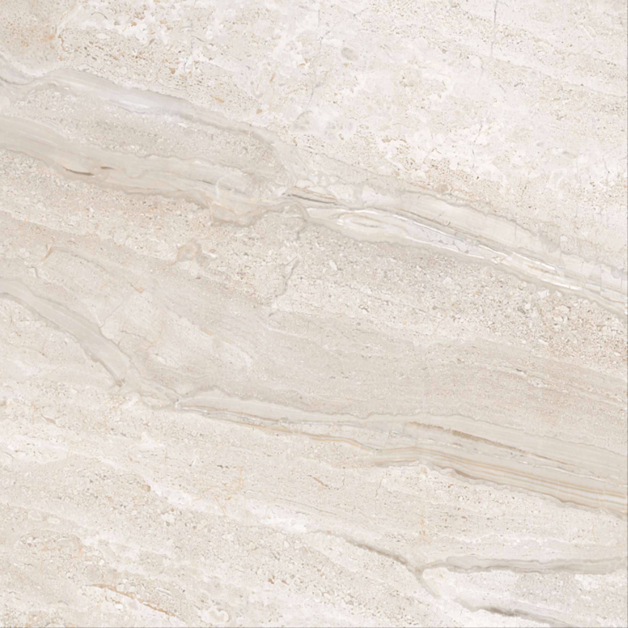 SG3003-A Desert Crema Sugar 60x60 Arcadia Ceramica