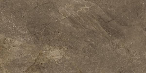 Wells Moka 60x120 Pamesa