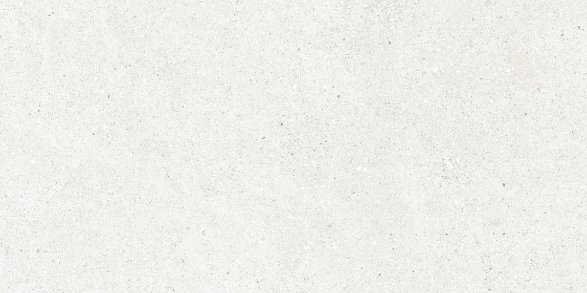 CR6012G0481R Perla Bianco светло-серый матовый 59,5х119,1 Ceradim
