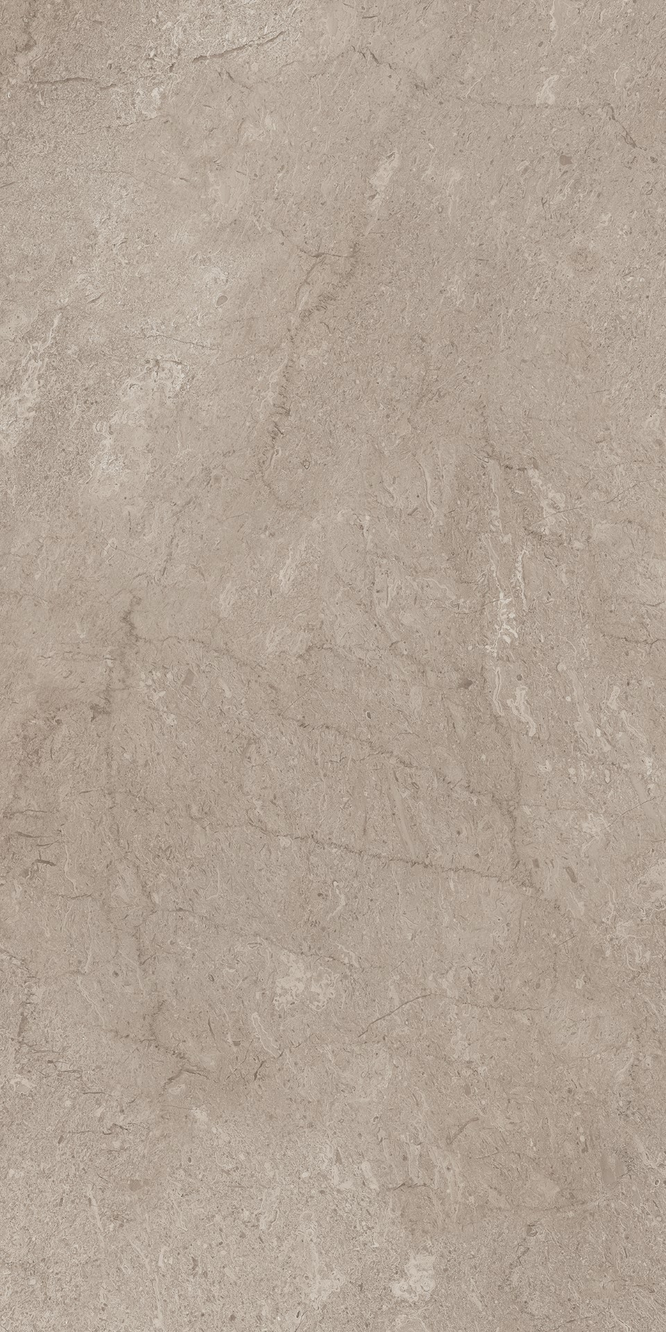 AEM02 Элемента Серый Неполированный Рект 60x120x9 Ametis by Estima фото 2