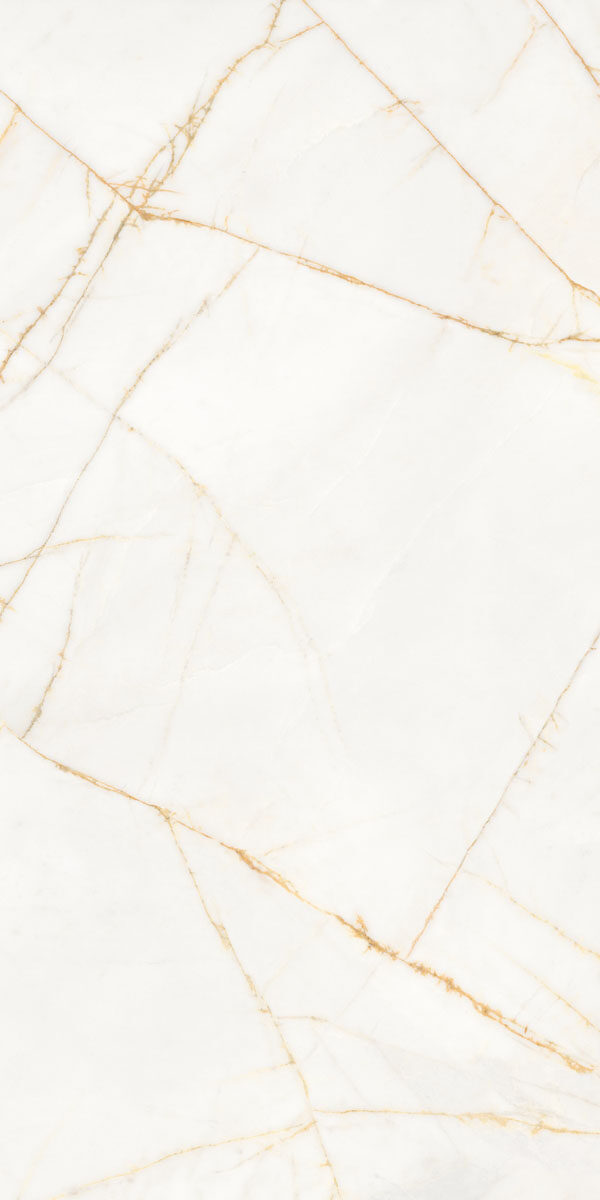 PF60017518 Supreme Hedonism Golden Spider Nat R 60x120 Flaviker