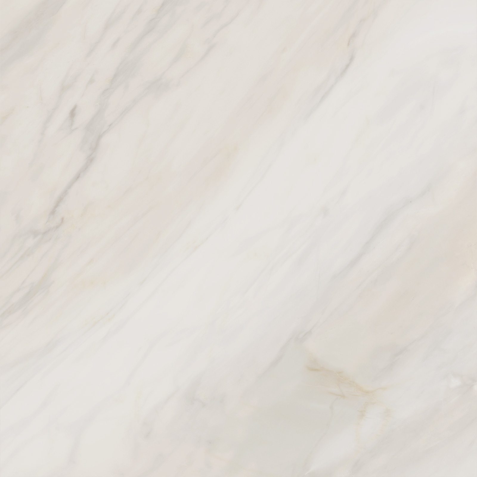 6060CAA01M Carolina Crema матовый 600x600x9.5 Delacora