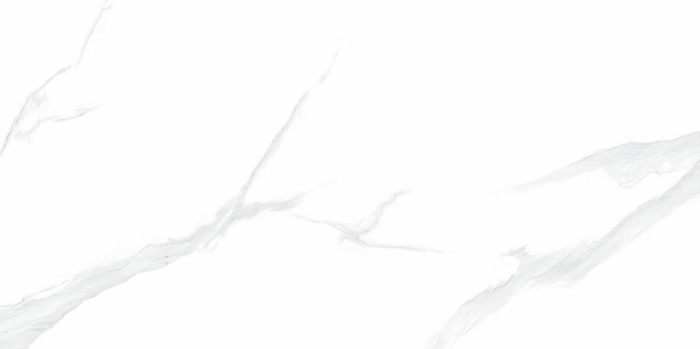 NTT9106P Statuario 60x120 NT Ceramic фото 4