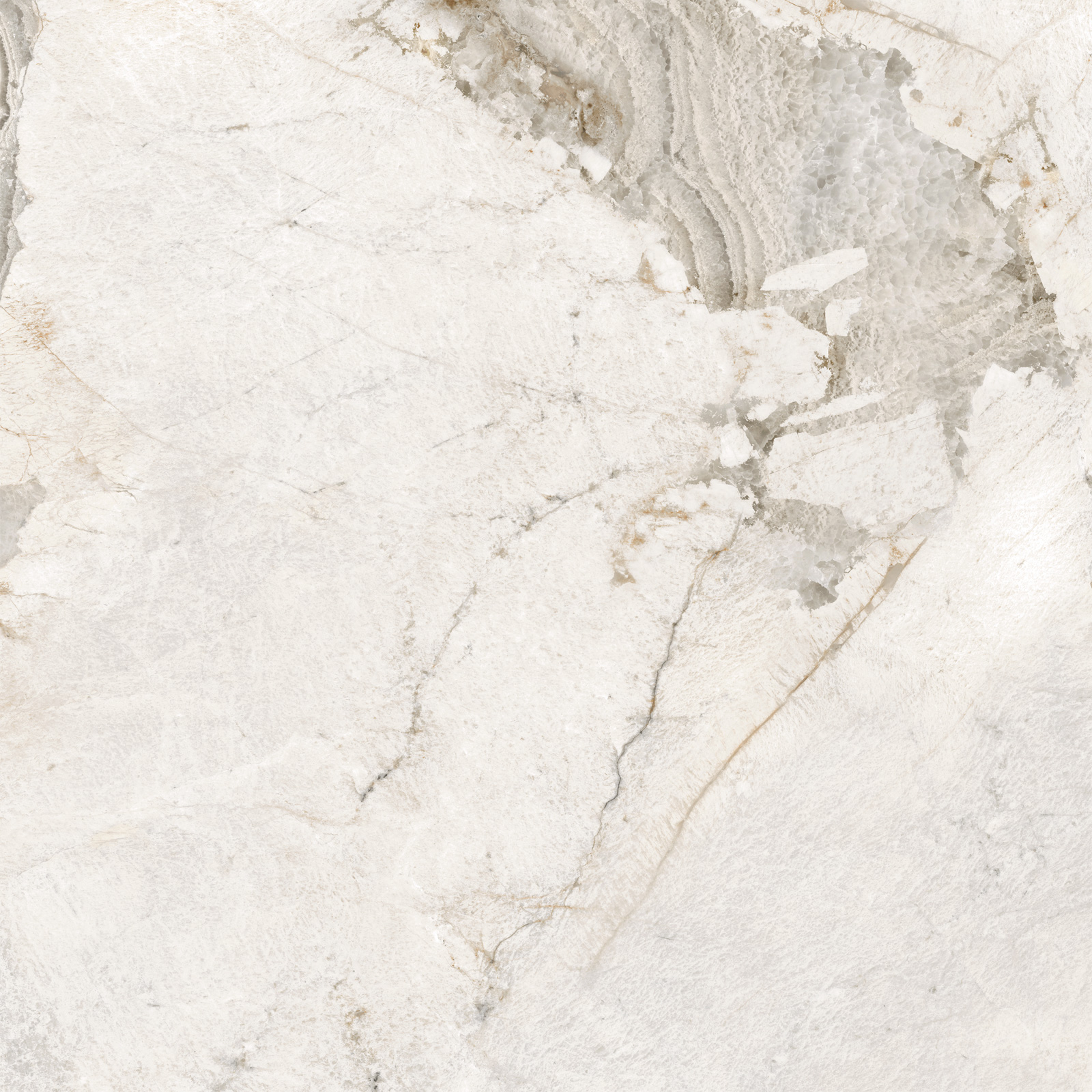 D60256М Seashell матовый 600x600x9.5 New Trend