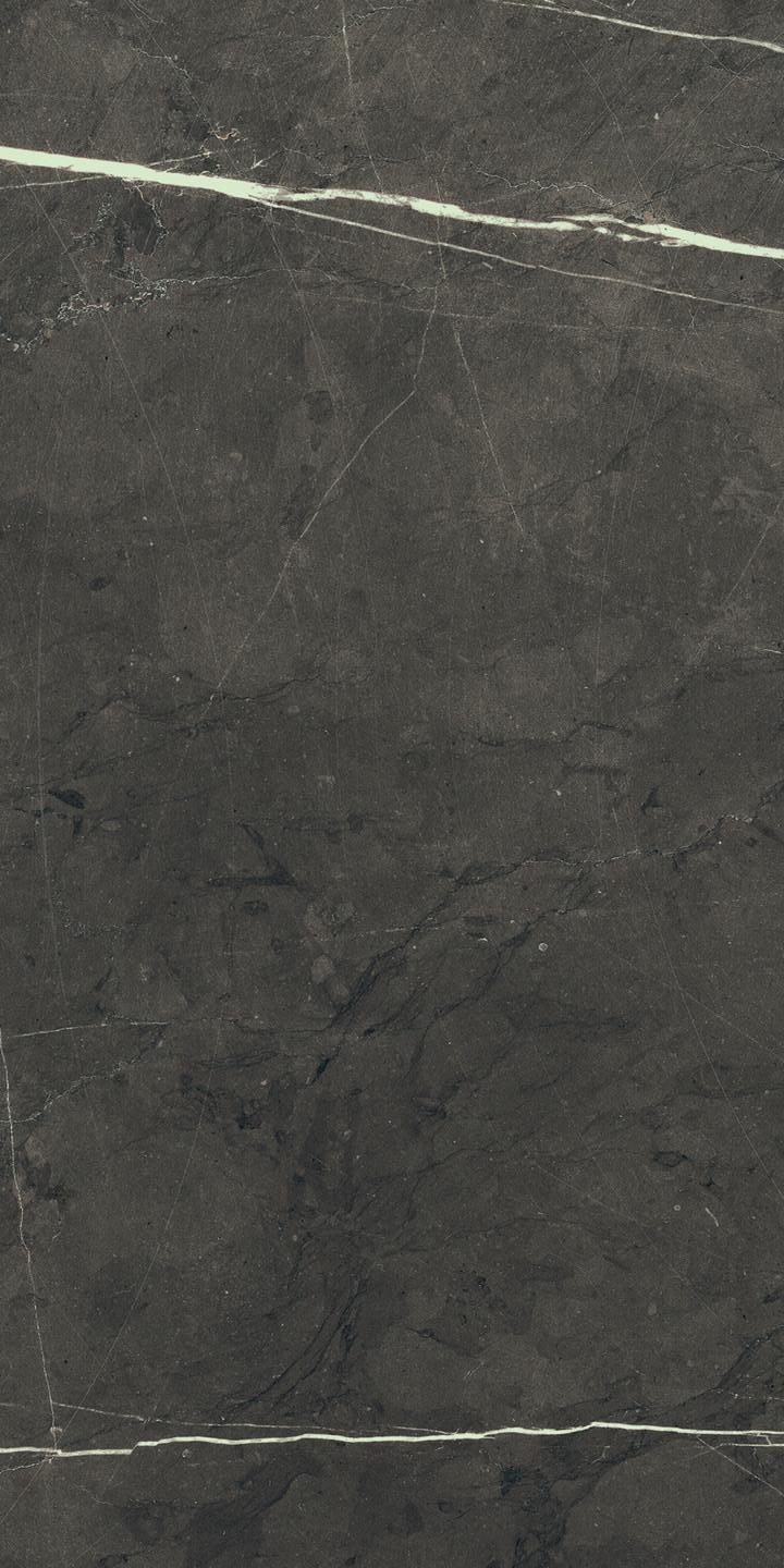 754698 Pantheon Marble 06 Luc 60x120 Cerim