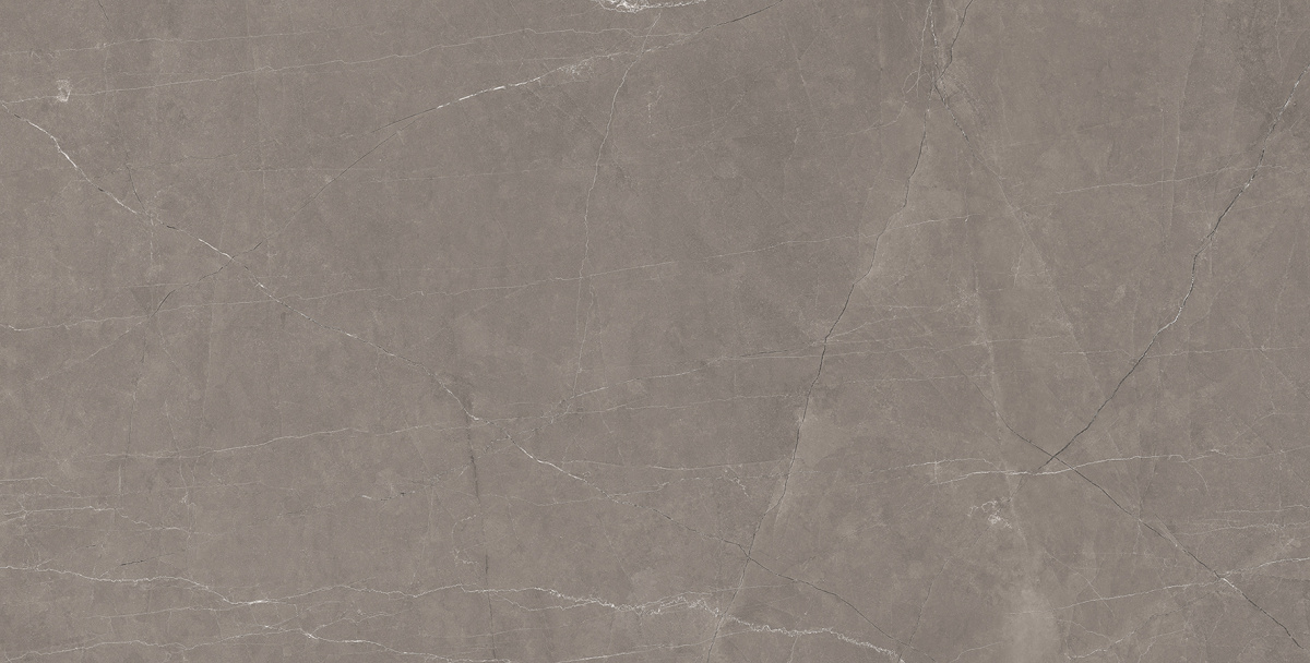 Splash Grey серый 60х120 Laparet
