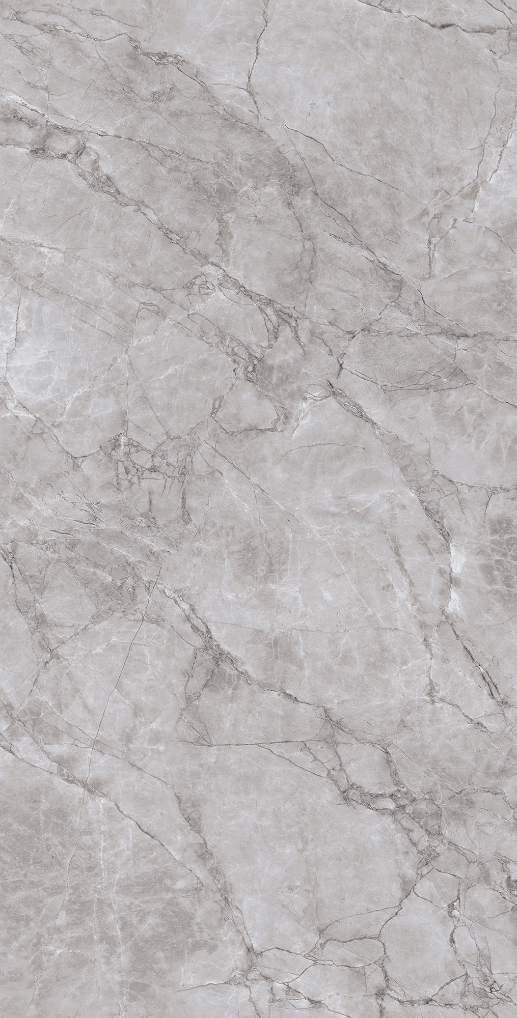 CL4005-A Arctic Grey Carving Lappato 60x120 Arcadia Ceramica