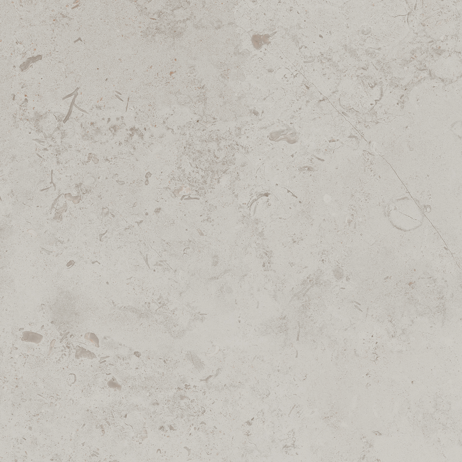 DD641020R Про Лаймстоун серый светлый натуральный обрезной 60х60 Kerama Marazzi