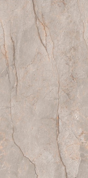 Monaco Grey carving 60x120 Leopard